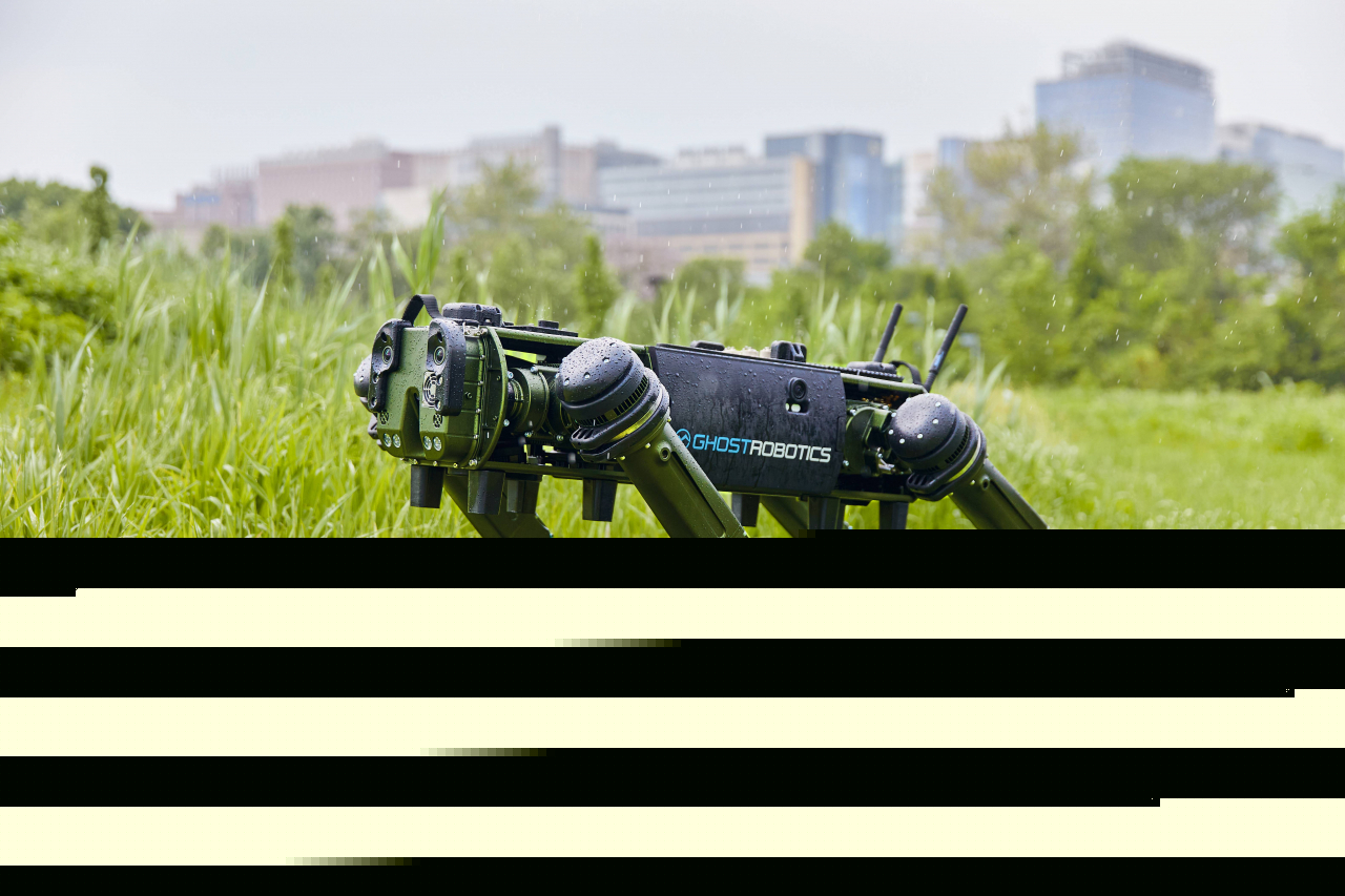 Ghost Robotics' flagship model, the Vision 60 (LIG Nex1)